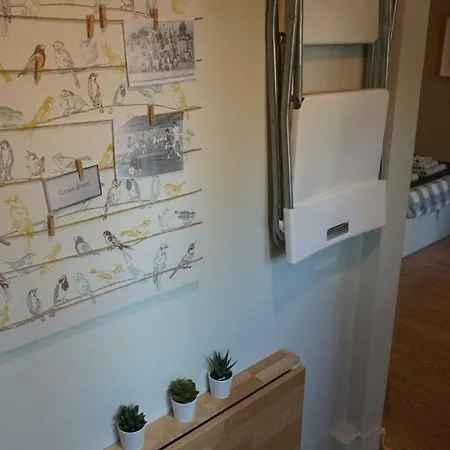 *super* Deal Studio + Wifi + Netflix +2 Bikes! *